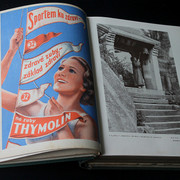 IMG-7688