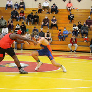 IMG-0334