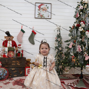 IMG 4239