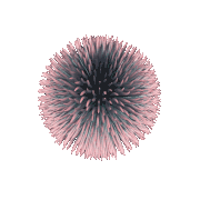 ART (38).gif