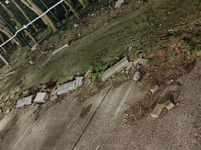 IMG20260414224449.jpg