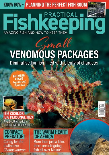 [Obrazek: Practical-Fishkeeping-October-2026.jpg]