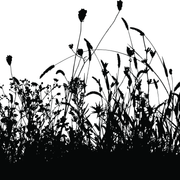 shutterstock 18308170