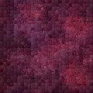 ES-razzleberry.jpg