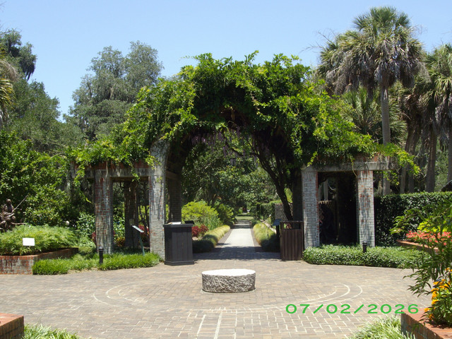 IMGP2765.jpg