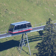 IMG 1794