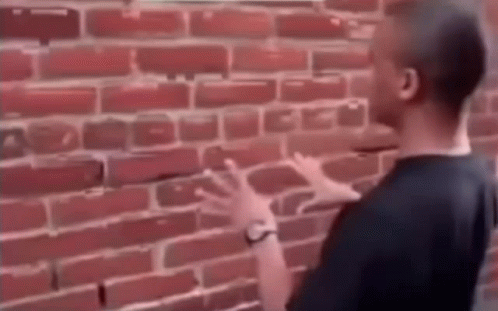 87ea8952891e51553d55d90dc649bbf3.gif