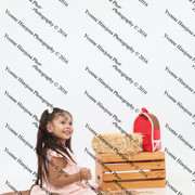 IMG 0995