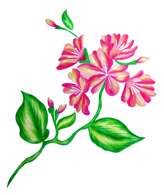shutterstock 1754147489.jpg