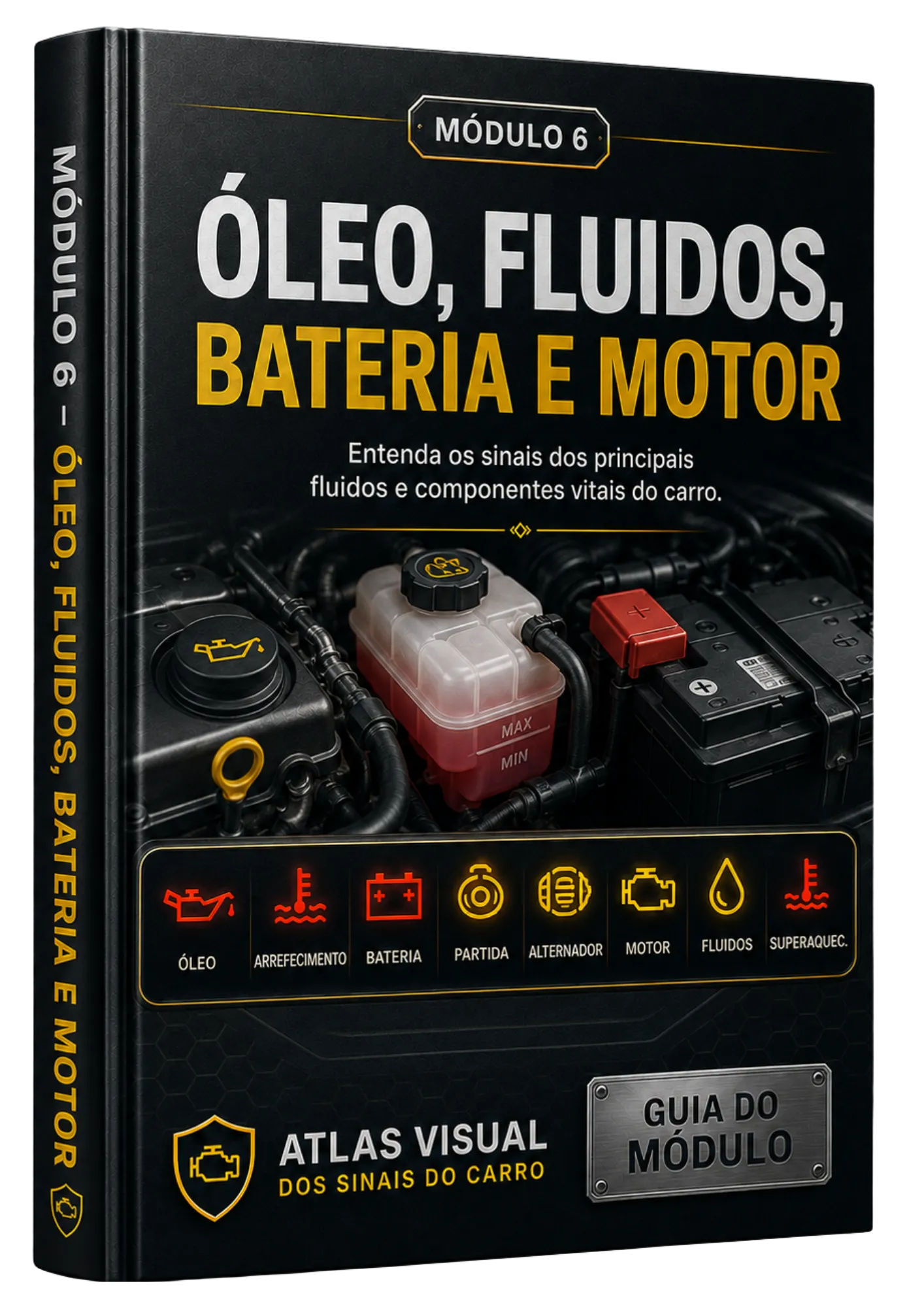 Módulo 6: Óleo, fluidos, bateria e motor