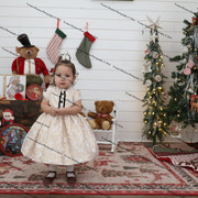 IMG 4272