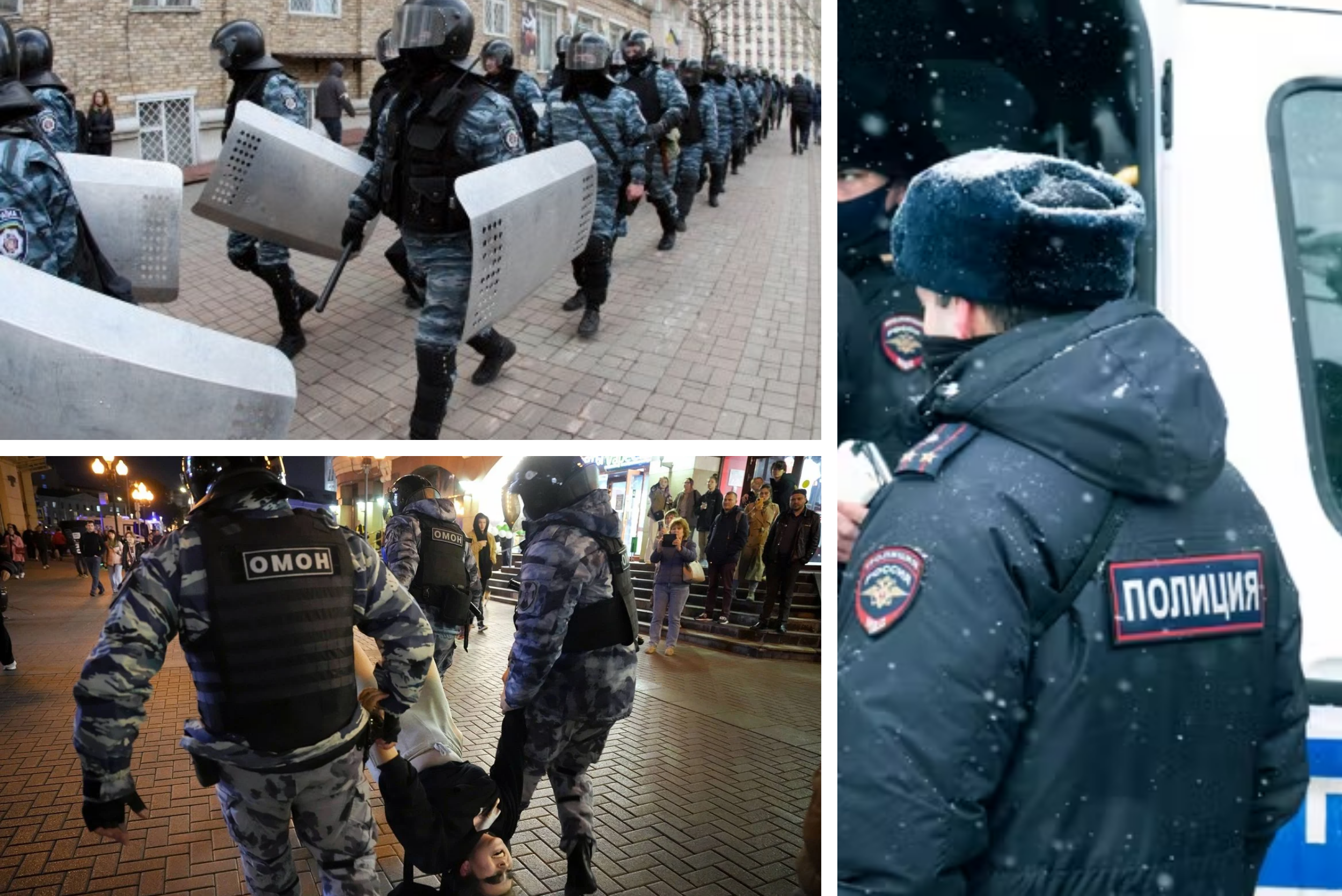 https://i.ibb.co/8nP8HxmZ/Police.png