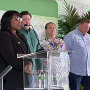 IMG 2795