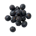 Saw Palmetto