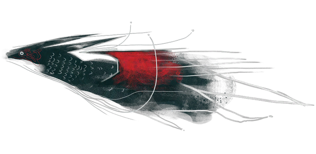 prp-elvahn-decals-dragon.png