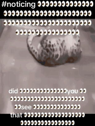 snow-leopard-notice.gif
