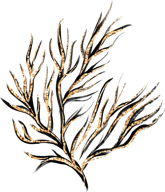 coral 4.png