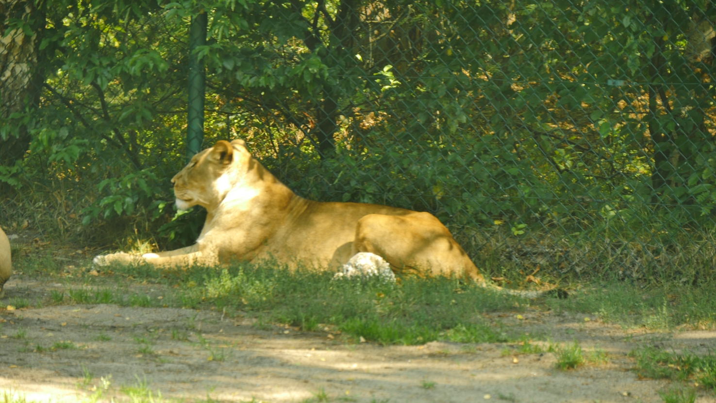 Serengeti-Park / Серенгети-Парк и кусочек Касселя