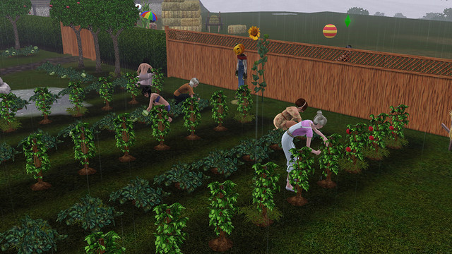 Screenshot 16