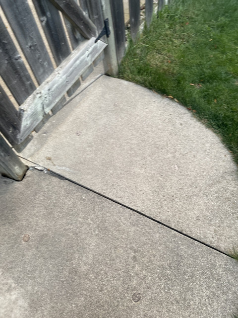 IMG 0232.jpg