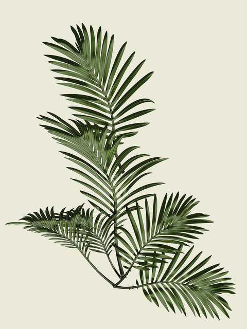 shutterstock 2184593591.jpg