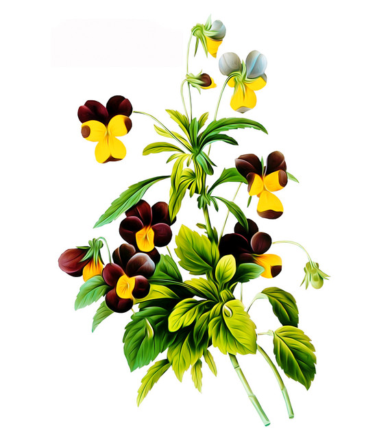shutterstock 1532949824.jpg