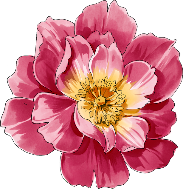 560a67006e3a4e5d2715d7a009f49746.png