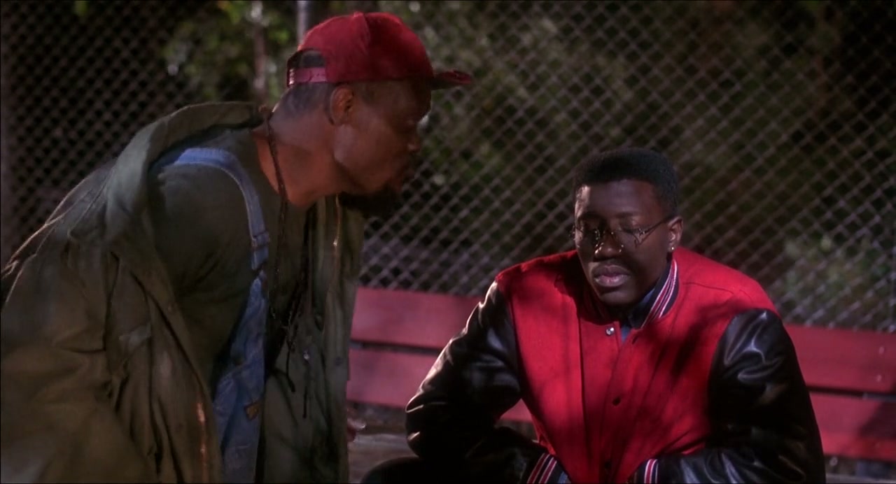 Jungle Fever Screenshot