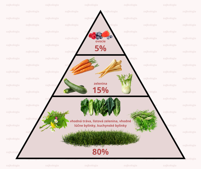pyramída čerstvej stravy
