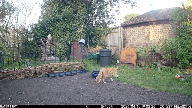 IMG 6014.jpg