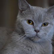 DSC 0467