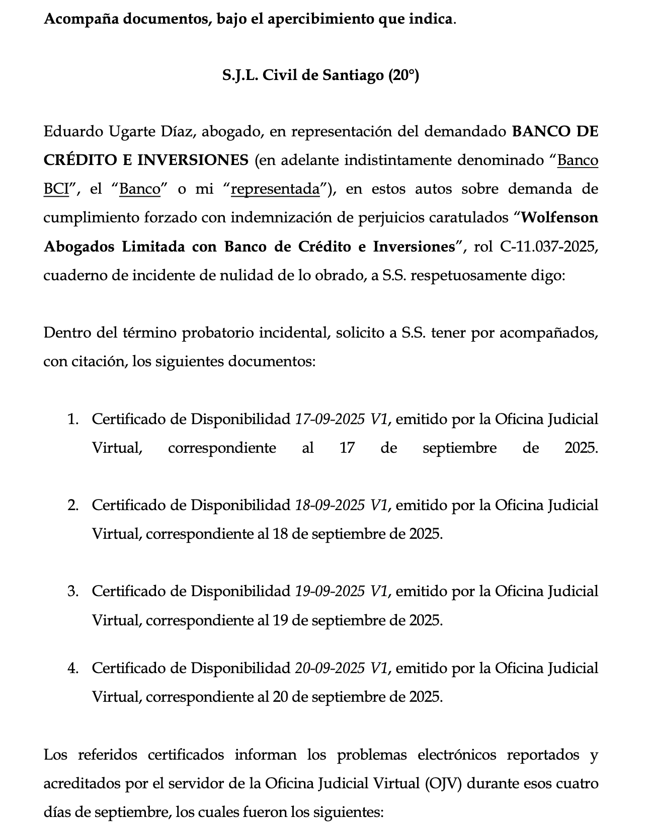 BASURA1.png