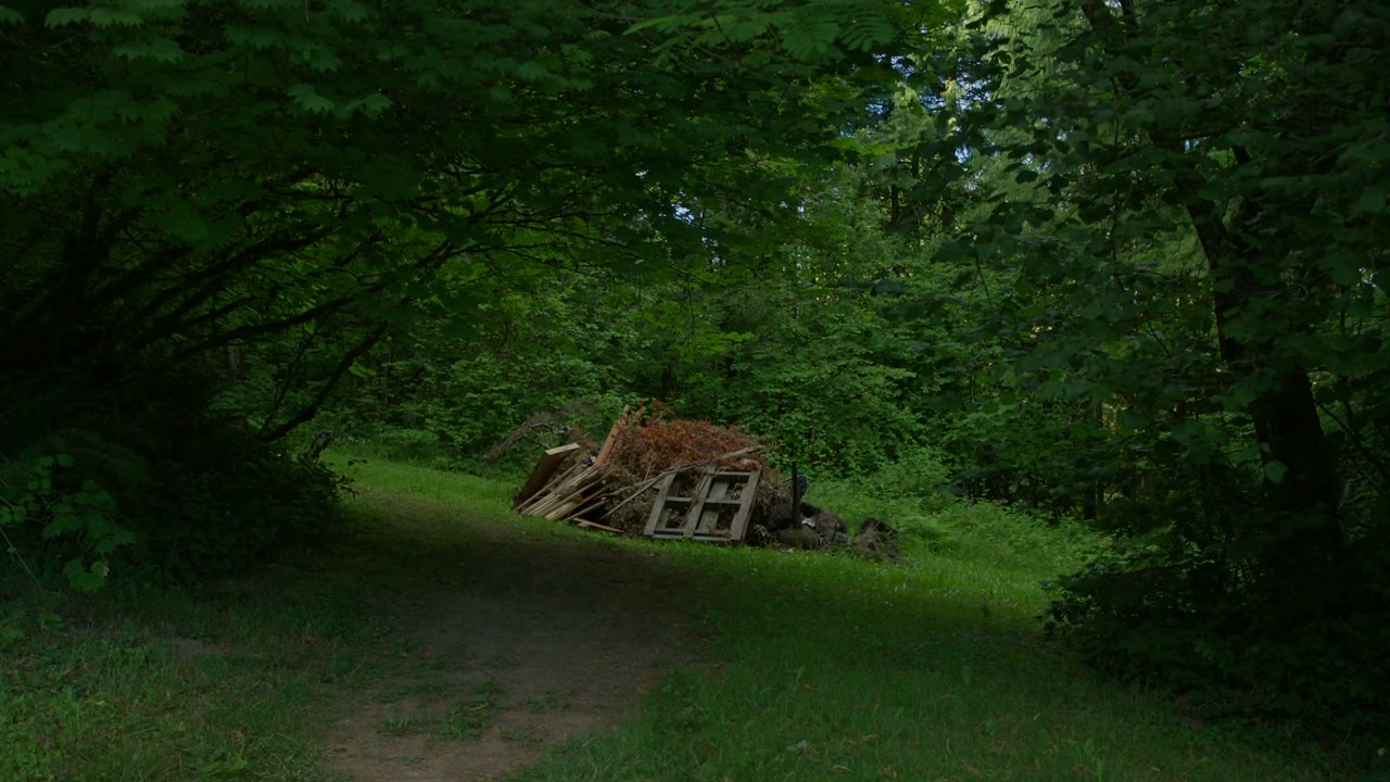 Trees, and Other Entanglements Screenshot