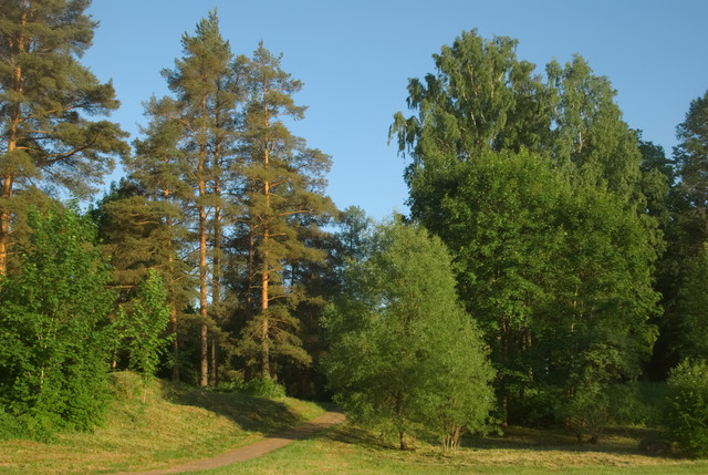 IMGP5204.jpg