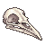 crow skull