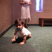 IMG 8211