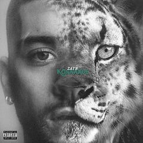 [Obrazek: zayn.jpg]