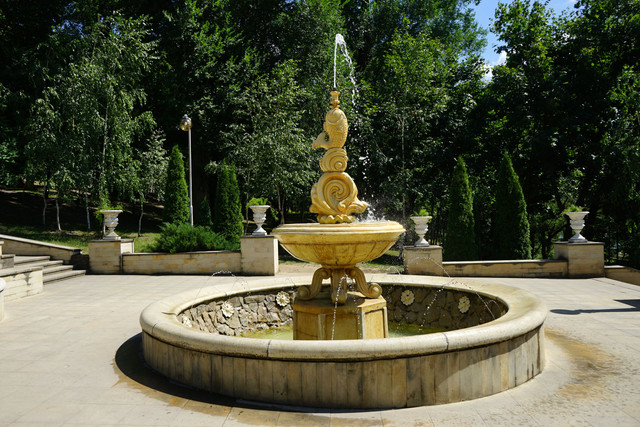 https://i.ibb.co/8nwc4Lv5/DSC02114.jpg