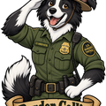 border collie
