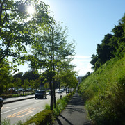 P1340161