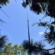 IMG-0166