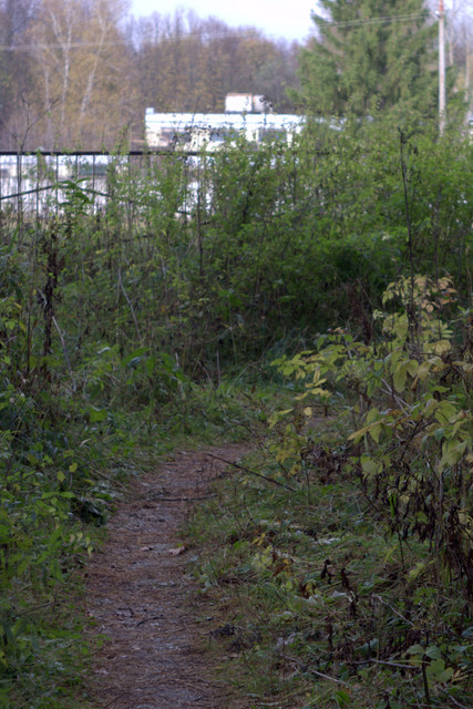 DSC7357-result.jpg