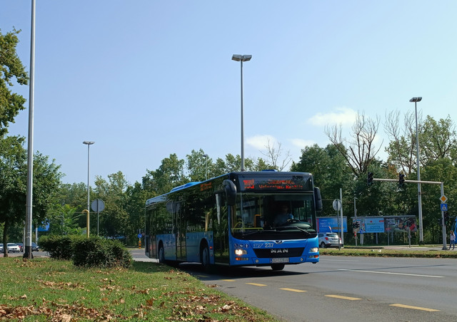 237-na-109.jpg