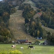 IMG-3331