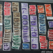 IMG-3654