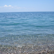 DSC06416