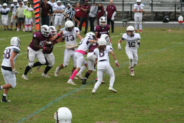 IMG-0355.jpg