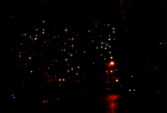 OLYMPUS-DIGITAL-CAMERA