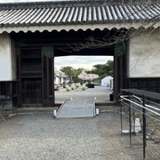 IMG-2976