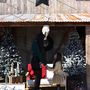 IMG-6477